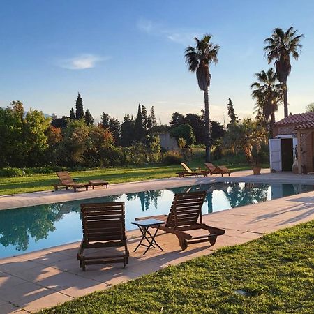 "Mas Tramontane "Chambres D'Hotes Et Studio Avec Piscine Dans Parc Arbore Ille-sur-Tet Luaran gambar