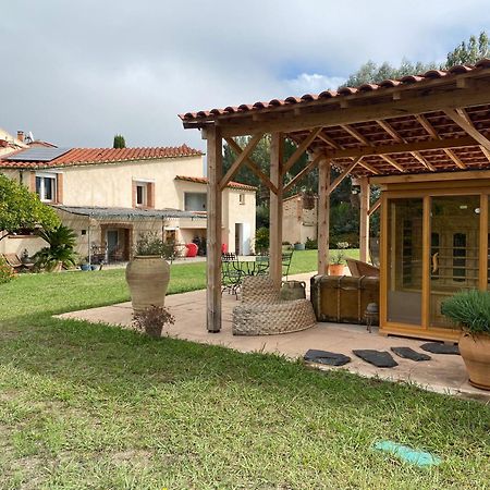 "Mas Tramontane "Chambres D'Hotes Et Studio Avec Piscine Dans Parc Arbore Ille-sur-Tet Luaran gambar