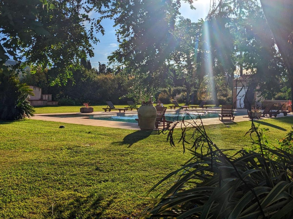 "Mas Tramontane "Chambres D'Hotes Et Studio Avec Piscine Dans Parc Arbore Ille-sur-Tet Luaran gambar