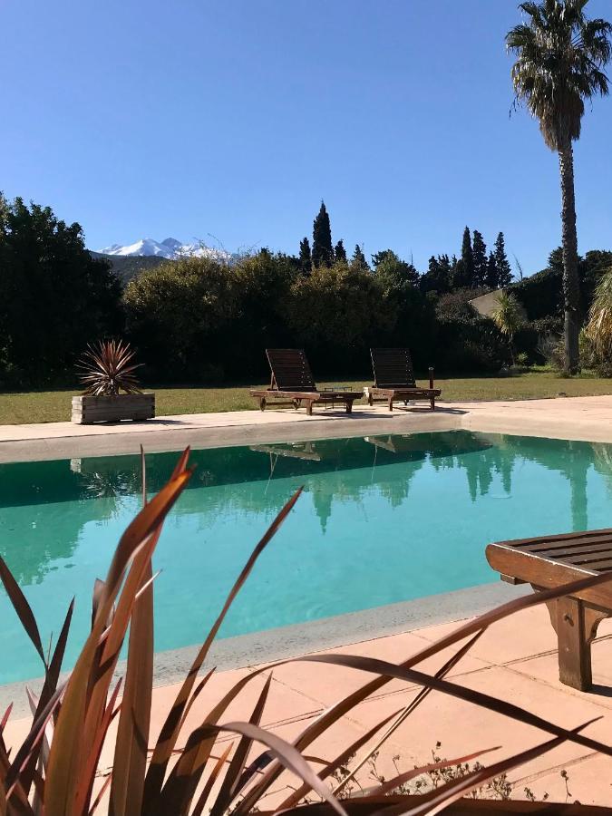 "Mas Tramontane "Chambres D'Hotes Et Studio Avec Piscine Dans Parc Arbore Ille-sur-Tet Luaran gambar